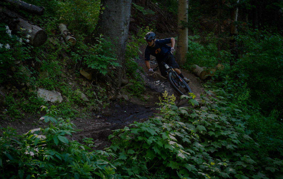 action-mach429-trail-forest-ride